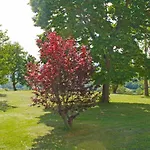 Montebello By Interhome Monterchi